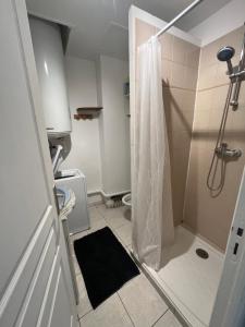 a small bathroom with a shower and a toilet at "Le central" Appart Arles in Arles +17 photos