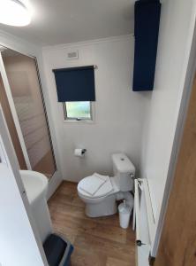 małą łazienkę z toaletą i umywalką w obiekcie Domki dla rodzin z dziećmi domkicetniewoPL we Władysławowie