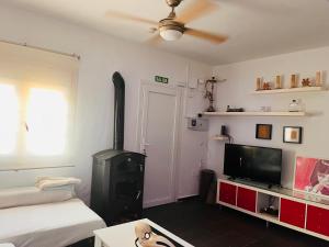 een woonkamer met een open haard en een televisie bij Apartamento de la Cruz in Merida