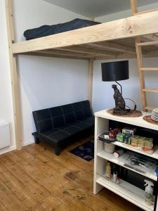a loft bed with a couch in a room at La Domus Lemaitre 9 - Parking - TV - Wifi - Belgique 