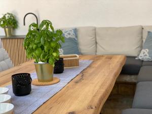 drewniany stolik kawowy z doniczką w obiekcie Apartmani Perić w mieście Stari Grad