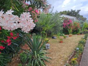 a garden with pink flowers and other plants at Studio Apartments Maslinik in Krk