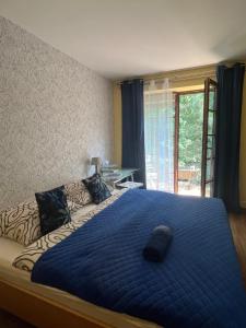 a bedroom with a large blue bed with a window at Villa Casanna Apartments in Łomianki