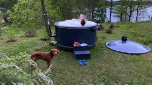 a dog standing next to a hot tub with a person in it at Pušų gaudyklė in Ginučiai