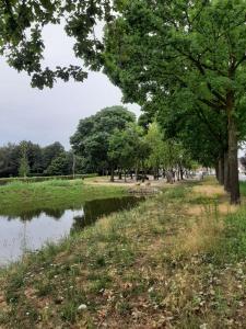 B&B De Goede Tijd في تورْن: حديقة فيها اشجار وجسم ماء