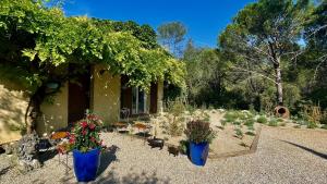 dos jarrones azules con plantas en un jardín en Azur Blue Villa; Rural Peace with private pool, en Peymeinade