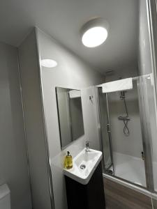 a bathroom with a sink and a shower and a mirror at 339 High Town Road in Luton