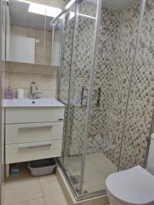 ein Bad mit einer Dusche, einem Waschbecken und einem WC in der Unterkunft Businoski's Apartment in Ohrid