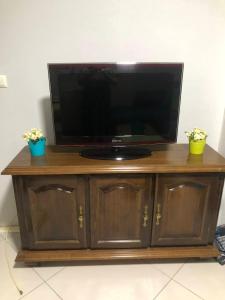 a television on a wooden cabinet with two plants at Bube Apartment in Skopje