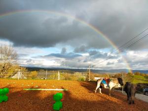 a horse standing in a field with a rainbow in the sky at Chambres et Gîte équestre Le Sellier 