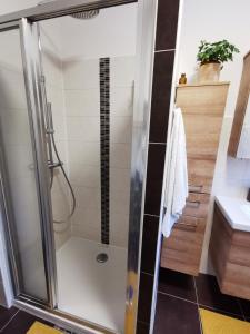a bathroom with a shower and a sink at Apartment nähe Red Bull Ring in Kobenz