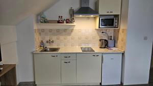 Kuchyň nebo kuchyňský kout v ubytování Apartment Andrea