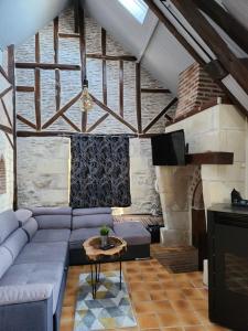 Savonnières的住宿－Gîte de Charme proche Loire à Vélo avec Jacuzzi Privatif，带沙发和壁炉的客厅