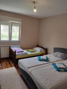 2 aparte bedden in een kamer met 2 ramen bij Apartman Dakovic in Zlatište