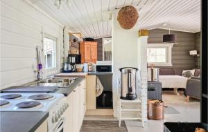 Ett kök eller pentry på Stunning Home In Risdal With 3 Bedrooms