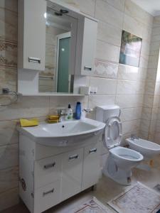 a bathroom with a sink and a toilet and a mirror at Apartman Dakovic in Zlatište