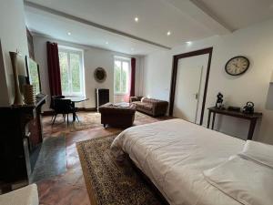 1 dormitorio con 1 cama y sala de estar en Dejean Vintage-wifi-centre-ville-Vélo, en Castelnaudary
