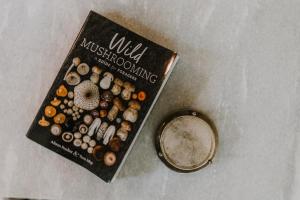 a book next to a bowl at Carramar Coach House, Romantic Falls Retreat in Wentworth Falls +17 photos