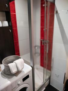 a bathroom with a washing machine and a glass shower at Apartament Baldachówka in Rzeszów