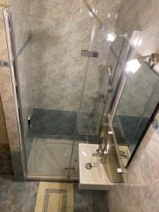 ein Badezimmer mit einer Dusche, einem Waschbecken und einer Badewanne in der Unterkunft A.B.Kvarner in Rijeka
