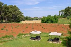 two umbrellas and chairs in a field with a field at Apartments & Rooms Darrer in Poreč