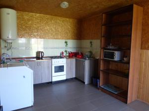 a kitchen with a white stove and a microwave at Приватна Садиба "У Оксани" in Pulʼmo