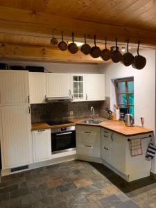 A cozinha ou cozinha compacta de log cabin in Czech-Saxon Switzerland