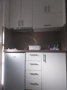 Kuchyň nebo kuchyňský kout v ubytování Apartment Happy