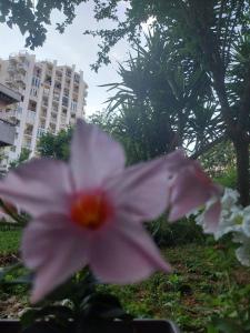 Zahrada ubytování Apartment Happy + 18 fotografií