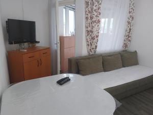 TV a/nebo společenská místnost v ubytování Apartment Happy