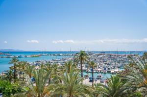 a harbor with boats in the water and palm trees at Ideal Property Mallorca - Blue Sky in Alcudia