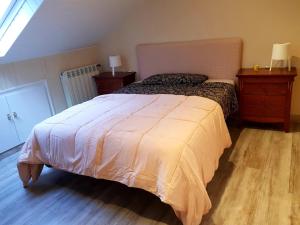 1 dormitorio con 1 cama grande y 2 mesitas de noche en PUIGPEDROS15, en Puigcerdà