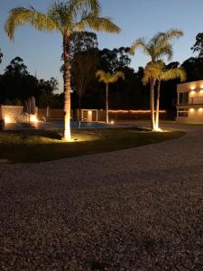 Casa para 4 personas en vista24uy, Bella Vista, Maldonado في بالنياريو سوليس: نخلتين في حديقة في الليل مع أضواء