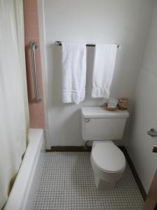 a bathroom with a toilet and a shower and towels at Holiday Lodge in Hawthorne