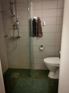 a bathroom with a toilet and a glass shower stall at Comfy boho-studio in Kallio. in Helsinki