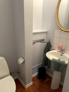 y baño con lavabo, aseo y espejo. en Charmig villa norr om Stockholm en Vallentuna