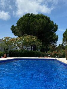 una gran piscina azul con un árbol en el fondo en Charmant T2 avec grande terrasse et confort 3 étoiles, en La Grande-Motte
