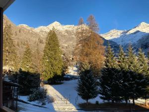 a view of a snow covered mountain range with trees at Miri Apartment in Alagna Valsesia