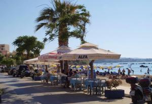 people sitting under umbrellas on a beach with a palm tree at Atreas’ Art Studio in Chania Town