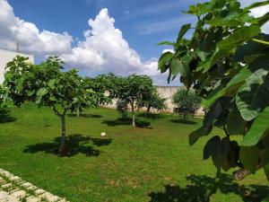 a group of trees in a field of grass at Villa Aurora 1 in Torre Lapillo