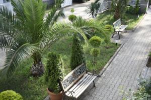 un banco en un jardín con palmeras y plantas en National+ en Ureki