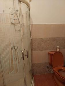 a bathroom with a toilet and a glass shower at Maison Hibiscus in Mare Jocquot