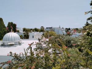 a view of a dome and a garden with flowers at Spacieuse et Cosy in El Haouach