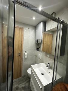 bagno con lavandino e servizi igienici di Apartma Vivo a Bovec