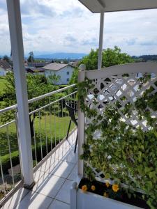 einen Balkon mit einer Bank mit einer Pflanze in der Unterkunft Gästezimmer Suppan in Hörbranz