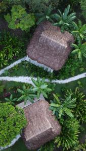 an overhead view of three walkways in a garden at Salvia Madre in Santa Marta