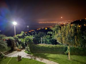 a view of a city at night with a street light at Zeytinlik Suits in Akcaabat