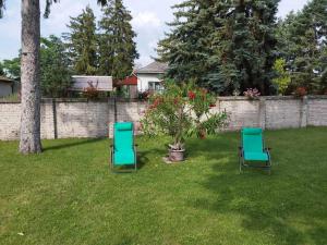 two chairs and a tree in a yard at Tartós Szegfű Vendégház, Magánszállás in Tázlár