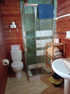 La salle de bains est pourvue de toilettes, d'une douche et d'un lavabo. dans l'établissement Casa Cuatro-Vientos en Águilas, Murcia, à Águilas