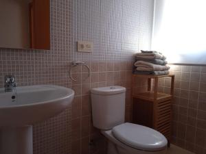 ein Badezimmer mit einem weißen WC und einem Waschbecken in der Unterkunft Amaral Xunqueiras in Pobra do Caramiñal